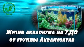 Жизнь аквариума на УДО от группы Аквапозитив