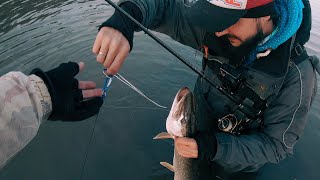 Ловим щуку, судака и окуня. Микроджиг на малой реке  | Рыбалка с Fishingsib