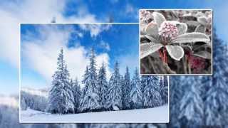 Стиль ProShow Producer - Slide Show_10
