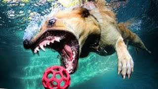 5 Mind Blowing Facts That Sound Like BS, But Are Actually True