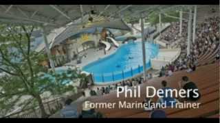 Behind the Scenes at Marineland