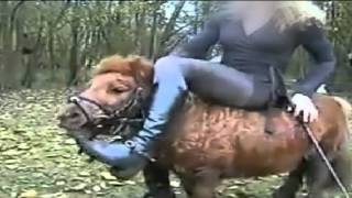 Politie houdt twee ponypletters aan