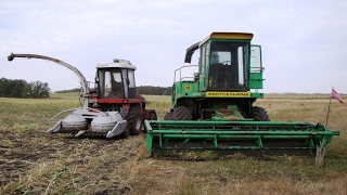 Combine DON-680 harvesting corn for silage /// Комбайн ДОН-680 на уборке кукурузы на силос