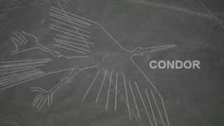 Lines of Nasca