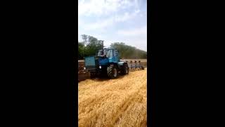 Работа плуга ПОН-5 (4+1) трактор Т-150