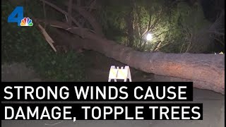 Strong Winds Topple Trees, Damage Cars Throughout SoCal | NBCLA
