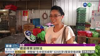 1顆235元! 高麗菜比去年貴8成 | 華視新聞 20190826