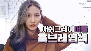 [시술] 헤어멘토 조은쌤의 존예 만들어주는 애쉬그레이퍼플 옴브레염색