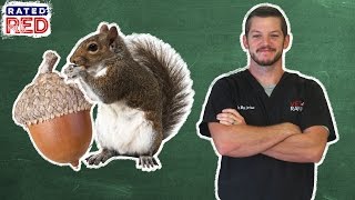 Pet 101: Dr. Matt’s Favorite Vet Case
