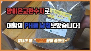양이온교환수지로 어항 ph 낮추기, 약산성의 물을 만들어보자