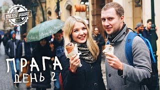 Трдло, Карлов мост и вид на Прагу сверху