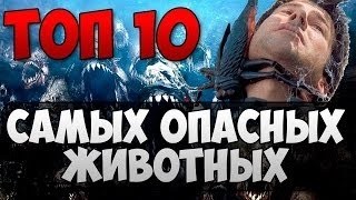 топ 10 самых опасных животных мира