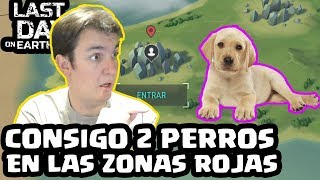 CONSIGO 2 PERROS EN LAS ZONAS ROJAS | LAST DAY ON EARTH: SURVIVAL | [El Chicha]
