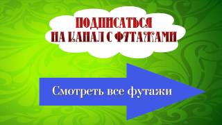 Футаж заставка на 8 марта