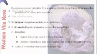 Músculos Da Mastigação: [SLIDE] - Anatomia Prática