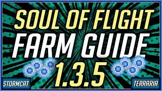 TERRARIA 1.3 AFK SOUL OF FLIGHT FARM - HOW TO GET SOULS OF FLIGHT FAST TERRARIA CONSOLE / PC
