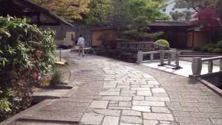 京都　おススメ 観光地 哲学の道 のコピー