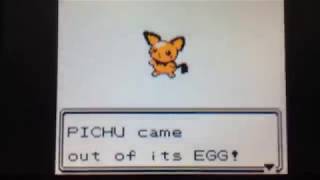 LIVE! Shiny Pichu hatches after JUST ONE Odd Egg in Pokemon Crystal!