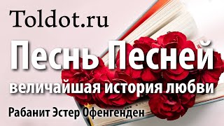Аллегории книги Песнь Песней. Мудрость царя Соломона от рабанит Эстер Офенгенден, Шир аШирим 10