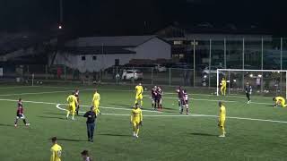 Pripravljalna tekma: Domžale - Triglav 3:4