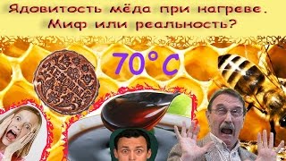 Ядовитость меда при нагреве. Миф или реальность? Узнайте правду !