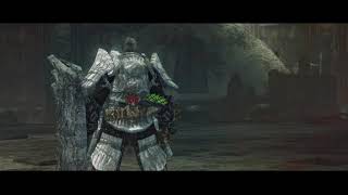 Dark Souls 2 - Throne Watcher and Throne Defender bosses