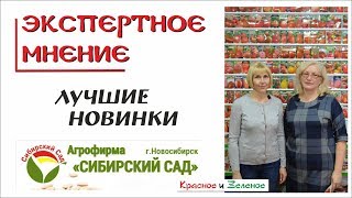 Сибирский сад. Лучшие новинки 2019 года. Томаты, перец, баклажан