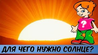 Для чего нужно СОЛНЦЕ?(ПОЧЕМУЧКА)  / Видео для детей