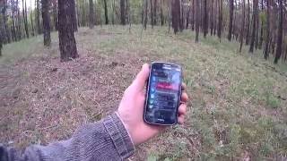 Как выйти из леса. Я иду домой.