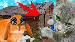 РУМ ТУР по новому ДОМУ КРОЛИКА БАФФИ и КОТА МАКСА  первая реакция / Галчата тв
