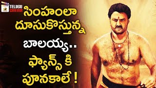 Balakrishna Next Movie with Boyapati Sreenu | 2019 Tollywood Latest Updates | Mango Telugu Cinema