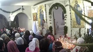 2017.01.07. Проповедь иерея Романа Зимина в праздник Рождества Христова