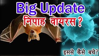 निपाह वायरस क्या है हिंदी मे जाने | What is Nipah Virus in Hindi | Symptoms, Risk | Learning Guruji