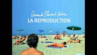Arnaud Fleurent Didier - Imbécile Heureux