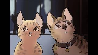 Cats the musical but it's actually cats speedpaint