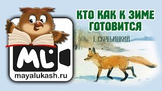 Кто как к зиме готовится  Зимние рассказы для детей