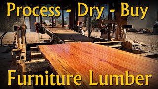 How Professionals Process and Dry Furniture Grade Lumber