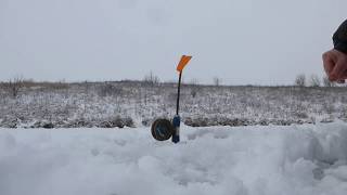 Рыбалка Зима 2018 21.01.18 на пруду Бражника Белгородская обл. Ловим щуку.