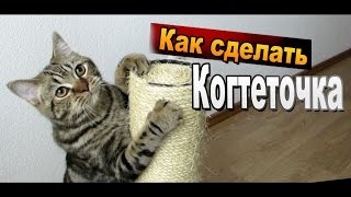 Как сделать когтеточку из веревки своими руками / Поделки для кошек Sekretmastera