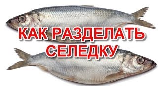 Разделать селедку - быстро чистить селедку