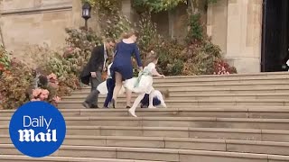 Moment page boy falls on the steps of St George's Chapel