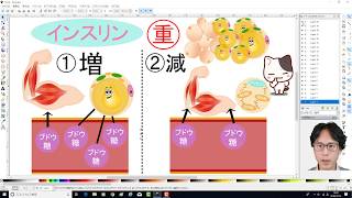 第6回　集中講義「インスリン！と体脂肪の関係」