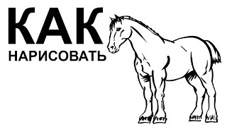 Лошадь рисунок карандашом. КАК поэтапно НАРИСОВАТЬ ЛОШАДЬ