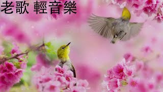 非常好聽??最好聽的電子琴 老歌輕音樂 放鬆解壓 Relaxing Chinese Music