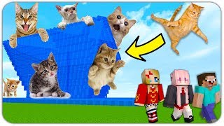 НУБ И 2 ДЕВУШКИ ПРОТИВ ЦУНАМИ ИЗ КОТИКОВ В МАЙНКРАФТ! КАК ВЫЖИТЬ В MINECRAFT? МУЛЬТИК