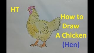 How draw chicken (hen) step by step, easy - Draw animals for kids