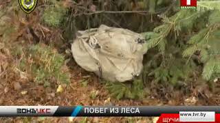 Вместо зайца подстрелили косулю. Зона Х
