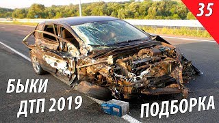 Опасные БЫКИ и БЫДЛО на дорогах - АВТО ДРАКИ КОНФЛИКТЫ РАЗБОРКИ выпуск #35
