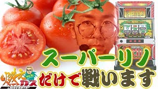 スーパーリノだけで戦います【ヤルヲの燃えカス#382】