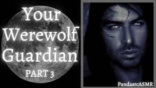 [ASMR] Werewolf Guardian: You Did What ?!?! [Gender Neutral] • [Strict] • [Male Werewolf]